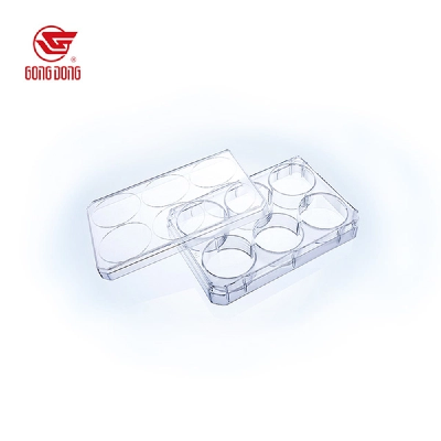 Cell Culture Plate (4).png