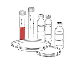 Cell-Culture.png